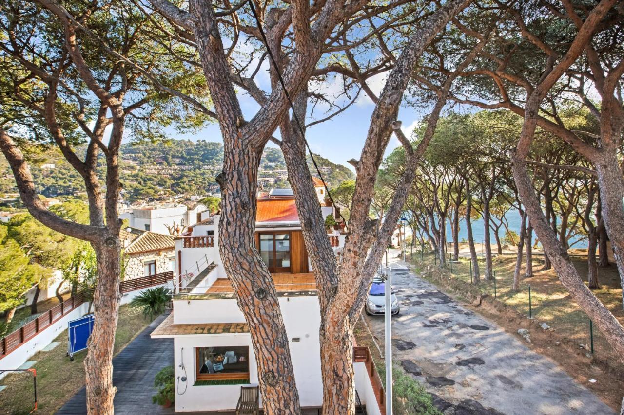 Apartment Anc 12 - Llafranc